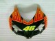 Carénage CBR 1000 RR 04-05 - Orange Vert Carénage CBR 1000 RR 04-05 - Orange Vert