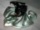 Carénage CBR 1000 RR 08-11 - Argent Noir