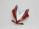 Carénage CBR 1000 RR 12-16 - Rouge Blanc Carénage CBR 1000 RR 12-16 - Rouge Blanc
