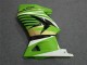Carénage EX250 08-12 - Vert Blanc Noir Ninja Carénage EX250 08-12 - Vert Blanc Noir Ninja