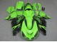 Carénage ZX14R ZZR 1400 06-11 - Vert Noir