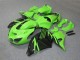 Carénage ZX14R ZZR 1400 06-11 - Vert Noir