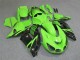 Carénage ZX14R ZZR 1400 06-11 - Vert Noir