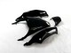 Carénage ZX14R ZZR 1400 12-21 - Noir Vert