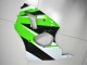Carénage ZX6R 00-02 - Vert Blanc Noir Carénage ZX6R 00-02 - Vert Blanc Noir