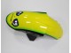Carénage ZX6R 05-06 - Requin