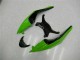 Carénage ZX6R 09-12 - Noir Vert Rouge