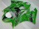 Carénage ZX6R 09-12 - Vert Noir LeoVince