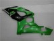 Carénages GSXR 1000 K5 05-06 - Vert Carénages GSXR 1000 K5 05-06 - Vert