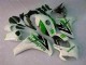 Carrosserie CBR 1000 RR 08-11 - Vert Blanc Carrosserie CBR 1000 RR 08-11 - Vert Blanc