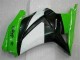 Kit Carénages EX250 08-12 - Vert Noir Ninja Kit Carénages EX250 08-12 - Vert Noir Ninja